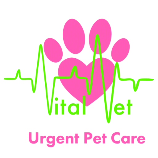 Vital Vet Urgent Pet Care Icon